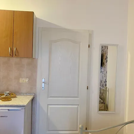 Victor Apartment Banja Koviljaca