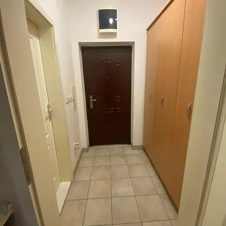 Victor Apartment Banja Koviljaca
