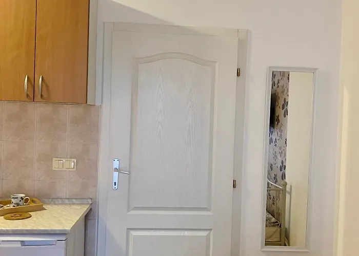 Victor 아파트 Banja Koviljača